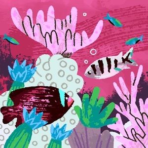 Meet your Posher, Miranda